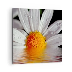 Canvastavla - Bild på duk - Prästkrages uppstigande sol - 60x60 cm