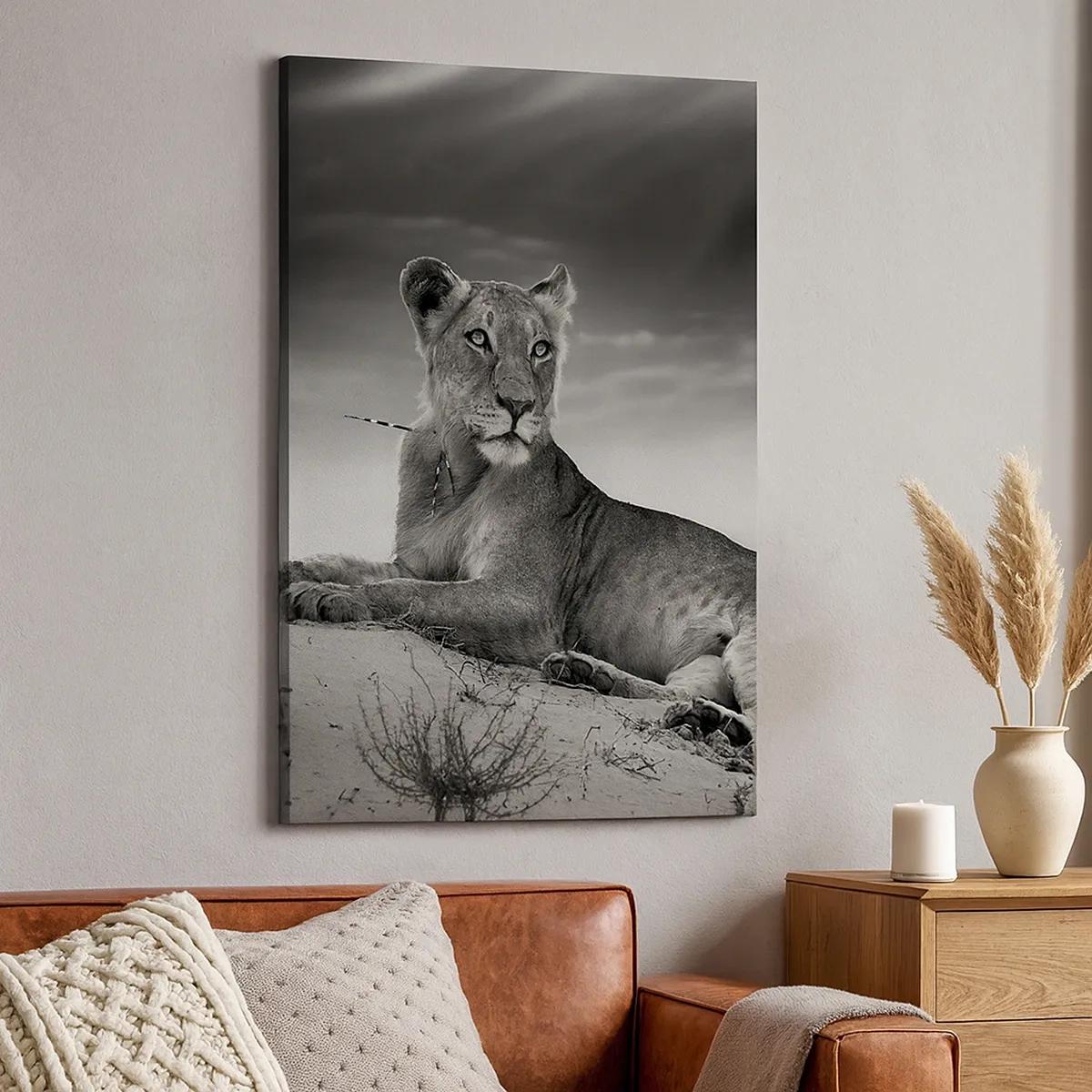 Canvastavla - Bild på duk - Öknens drottnings vila - 50x70 cm