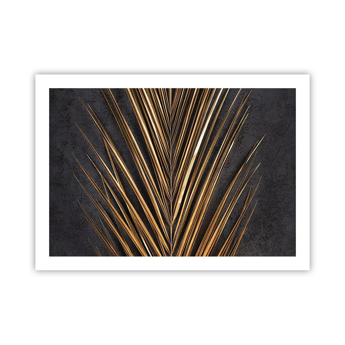 Affisch - Tropikens guld - 70x50 cm