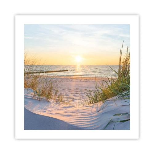 Affisch - Havets brus, fågelsång, tom strand bland träden - 50x50 cm