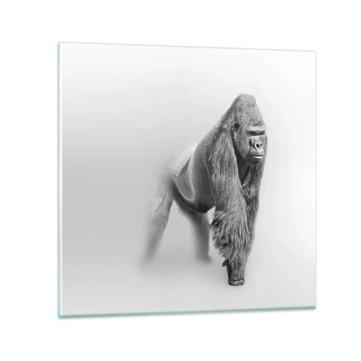 Glastavla - Bild på glas - Övertygad om sin styrka - 60x60 cm