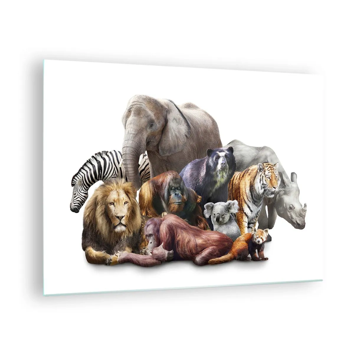 Glastavla - Bild på glas - En grupp vilda djur på en vit bakgrund i en konstnärlig bild - 70x50cm - Afrikans familjefoto - Modern väggdekoration för vardagsrum och sovrum ARTTOR