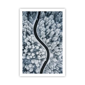 Affisch - Genom vinterskogen - 61x91 cm