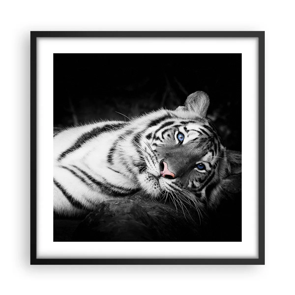 Affisch i svart ram - Vildhet och lugn - 50x50 cm