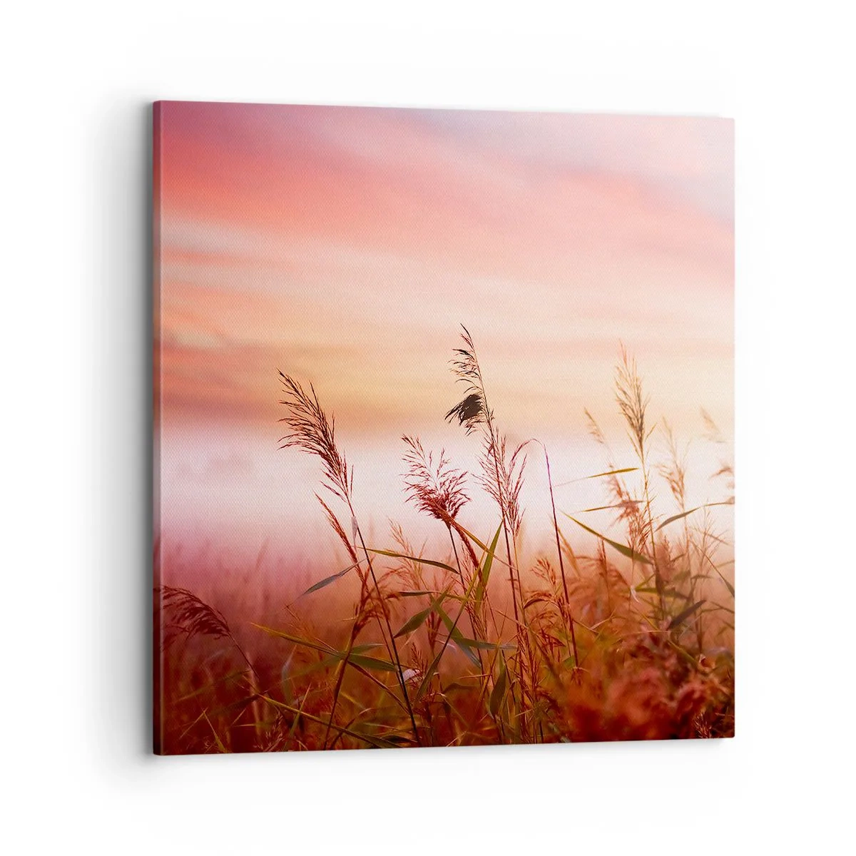 Canvastavla - Bild på duk - Drakar, maskrosor, vind - 70x70 cm