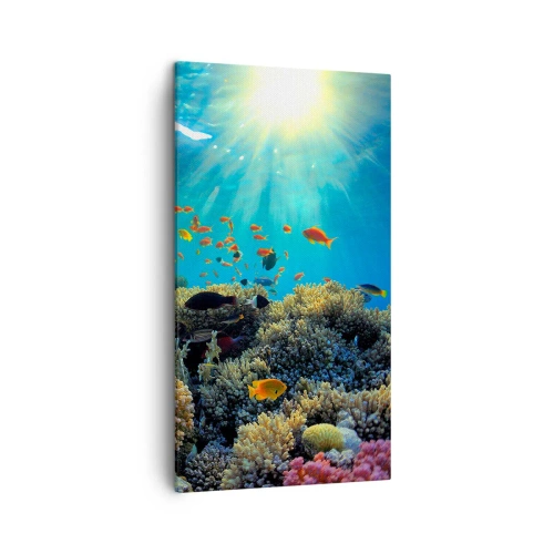 Canvastavla - Bild på duk - Undervatenskatter - 45x80 cm