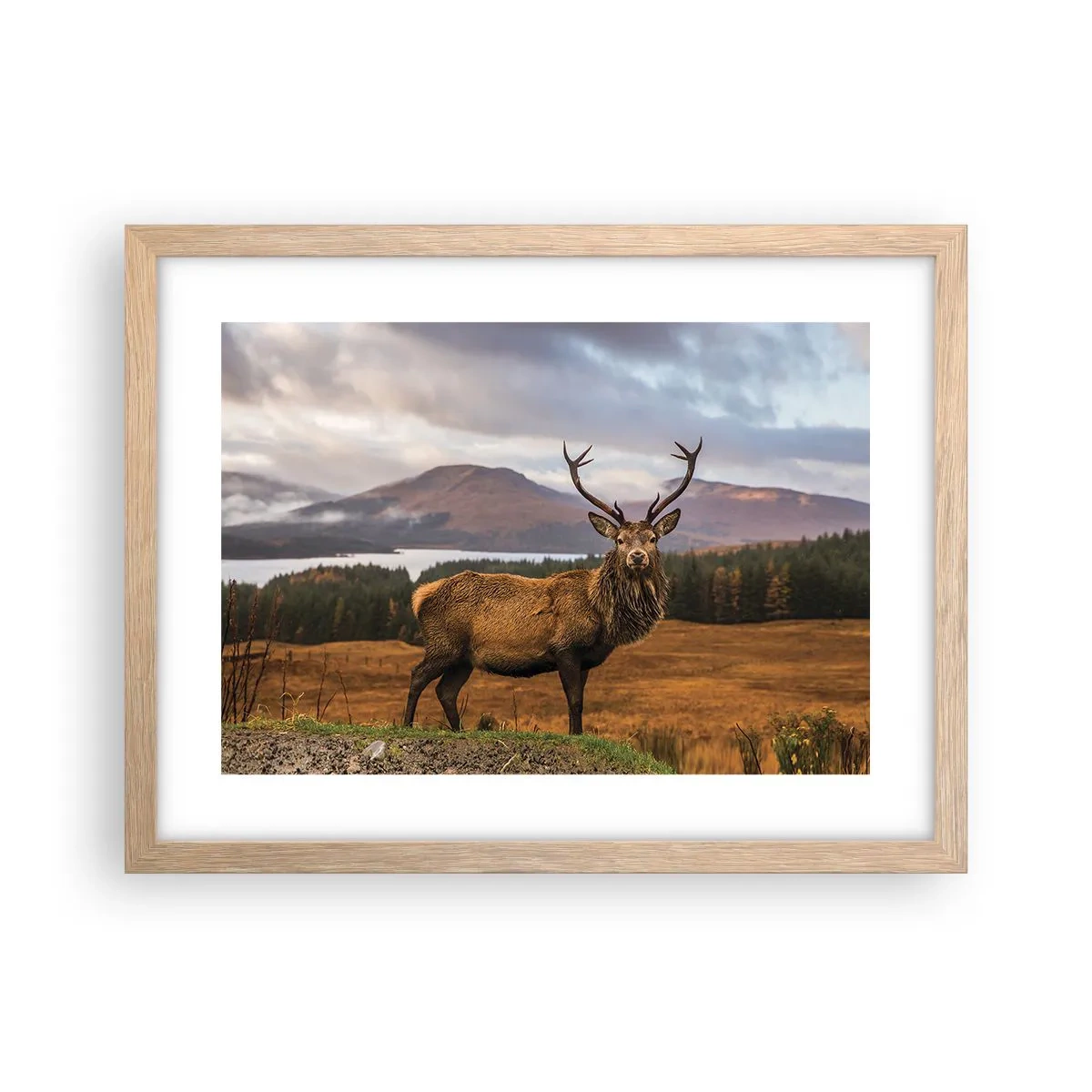 Affisch i ram av ljusek - Naturens majestät - 40x30 cm