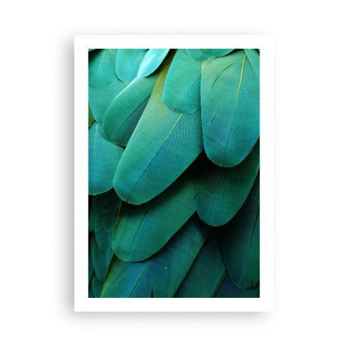 Affisch - Precision av papegojans natur - 50x70 cm