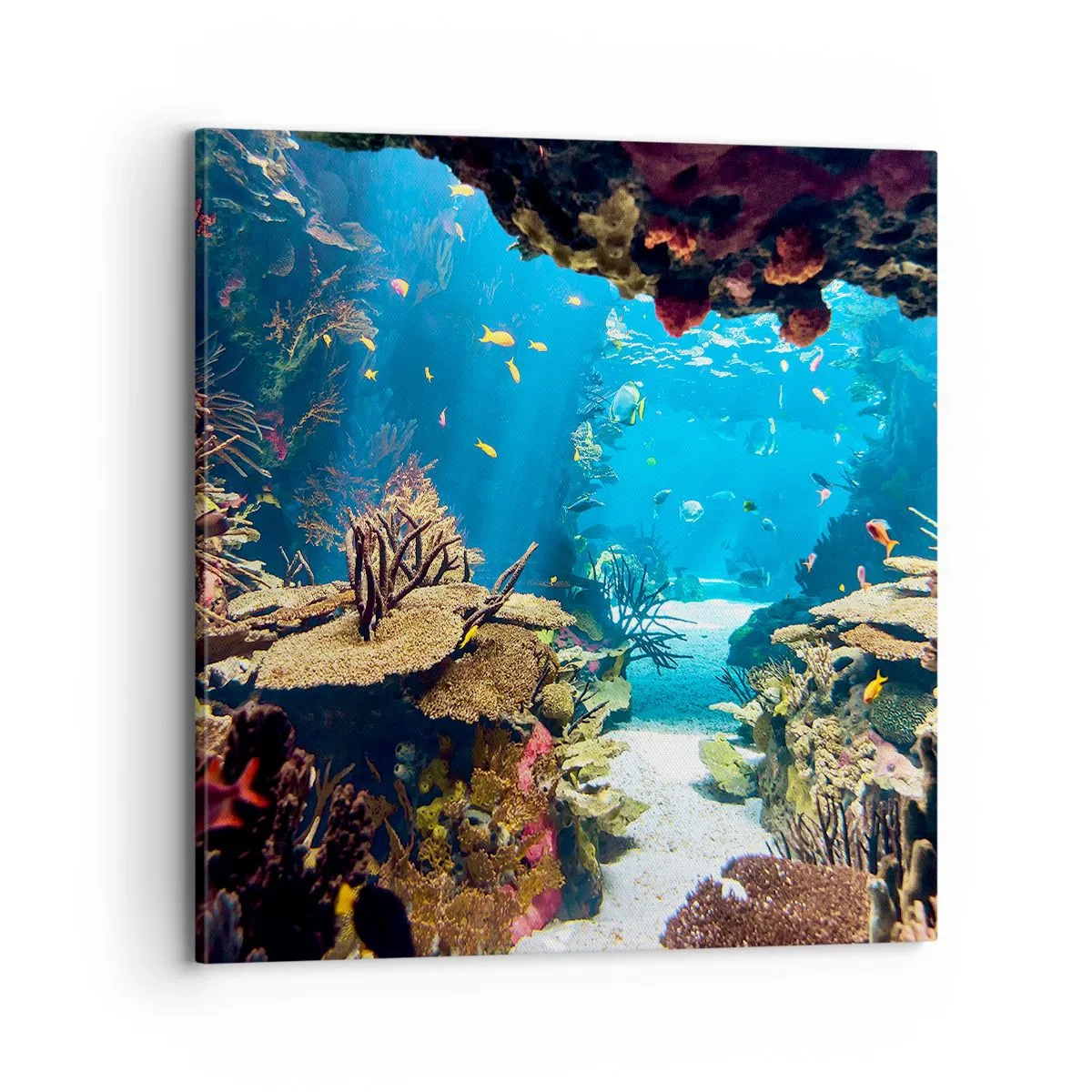 Canvastavla - Bild på duk - Du har inte ens drömt - 70x70 cm