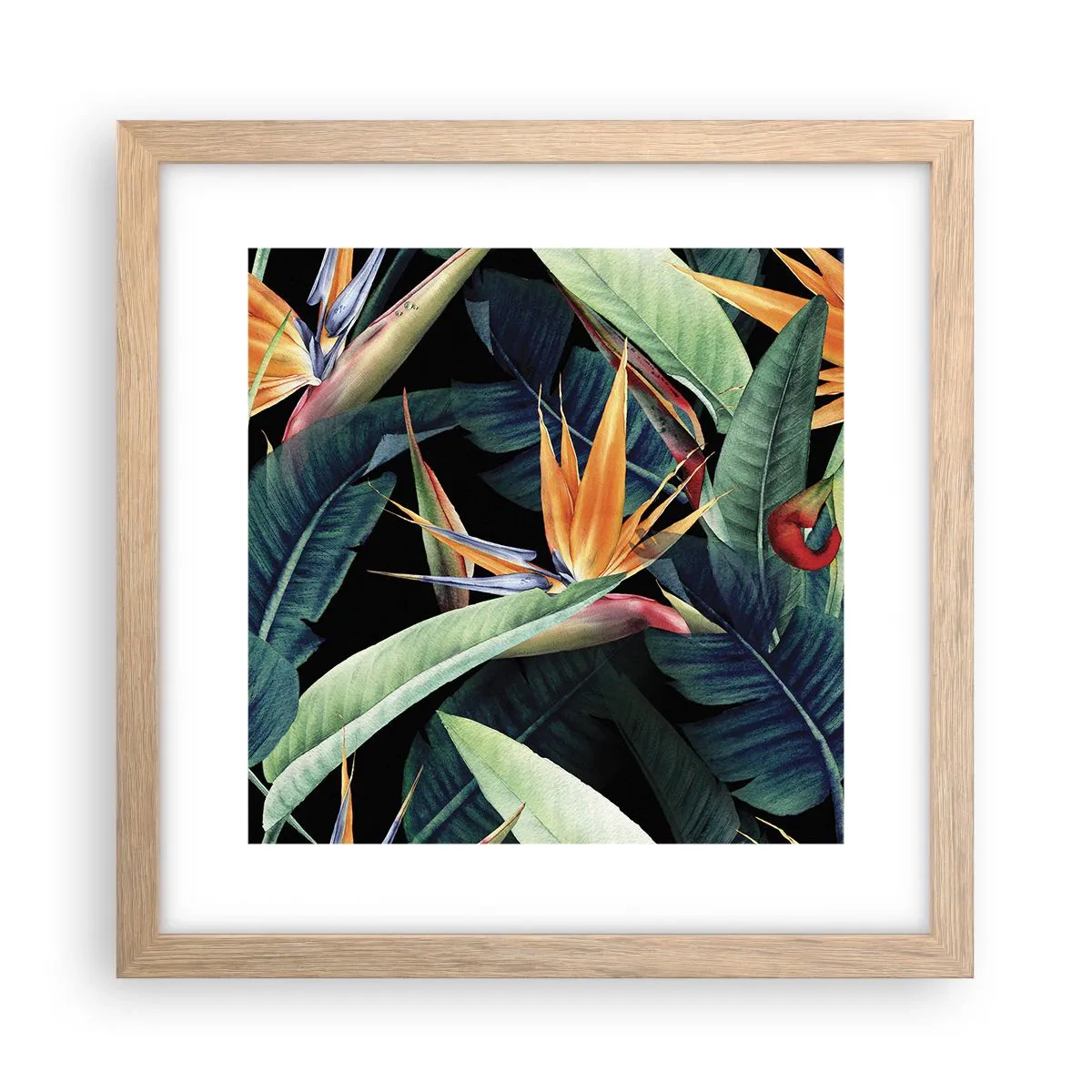 Affisch i ram av ljusek - Tropikens brinnande blommor - 30x30 cm