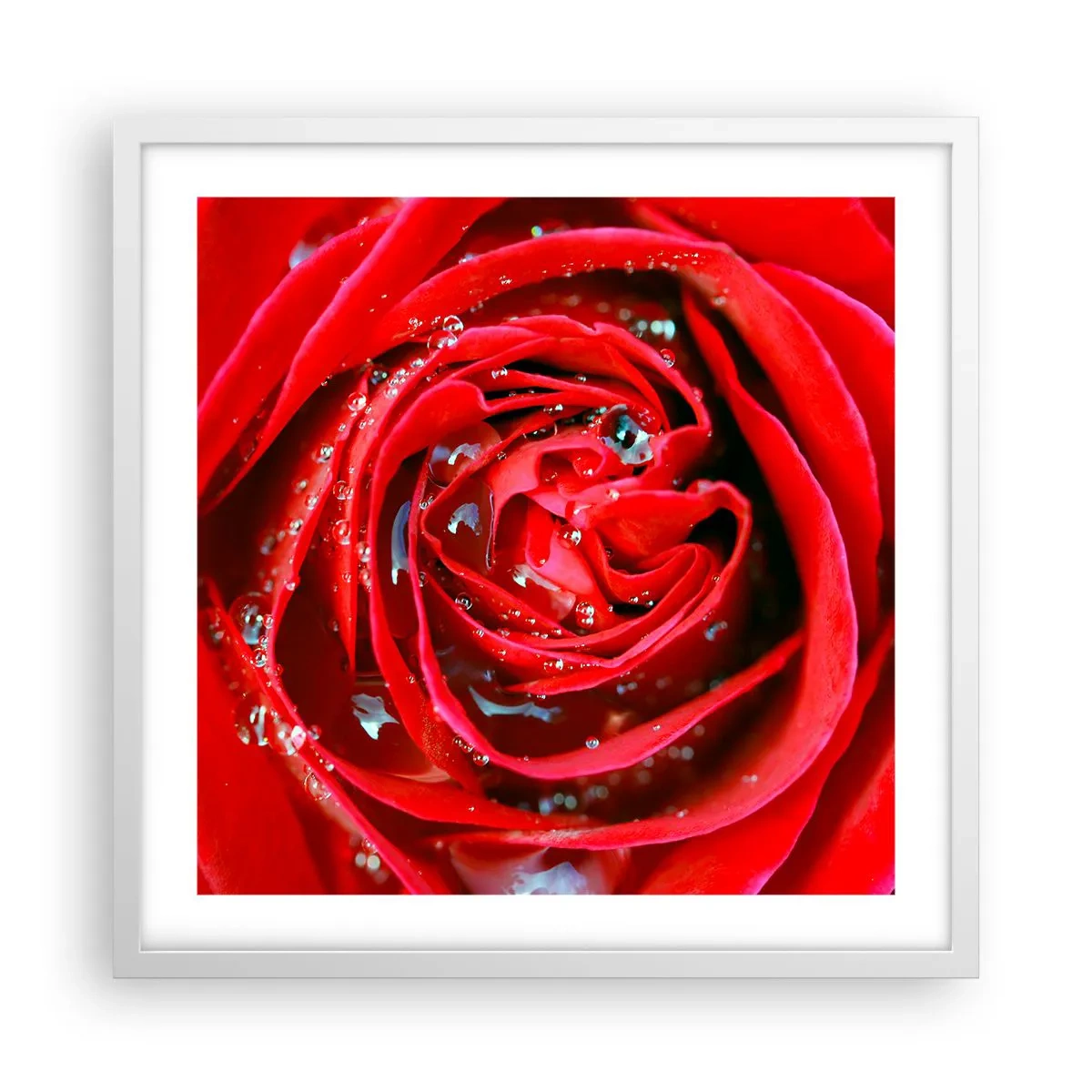 Affisch i vit ram - Daggdroppar - 50x50 cm