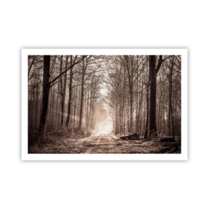 Affisch - Skogens domkyrka - 91x61 cm