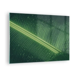 Glastavla - Bild på glas - Närbild av ett grönt blad med vattendroppar - 70x50cm - Grönskans struktur - Modern väggdekoration för vardagsrum och sovrum ARTTOR