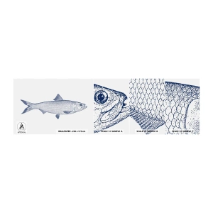 Provbit av självhäftande fototapet Deluxe Sticker - Hälsningar från de nordliga haven - Fisk, Havsdjur, Seaside stil - 100x30 cm