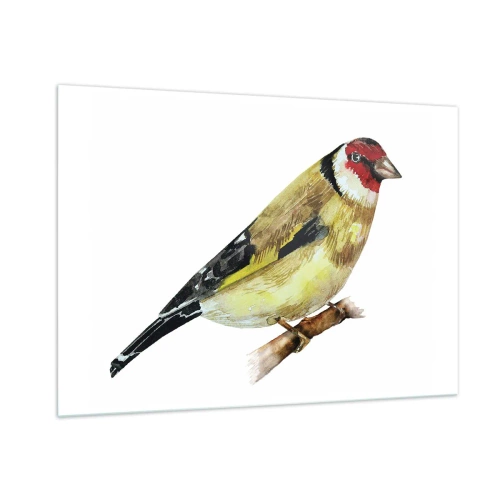 Glastavla - Bild på glas - Fågelporträtt - 100x70 cm