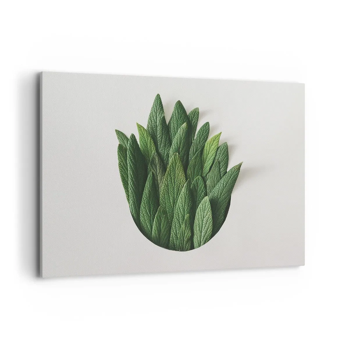 Canvastavla - Bild på duk - Ostoppbar nyfikenhet - 120x80 cm