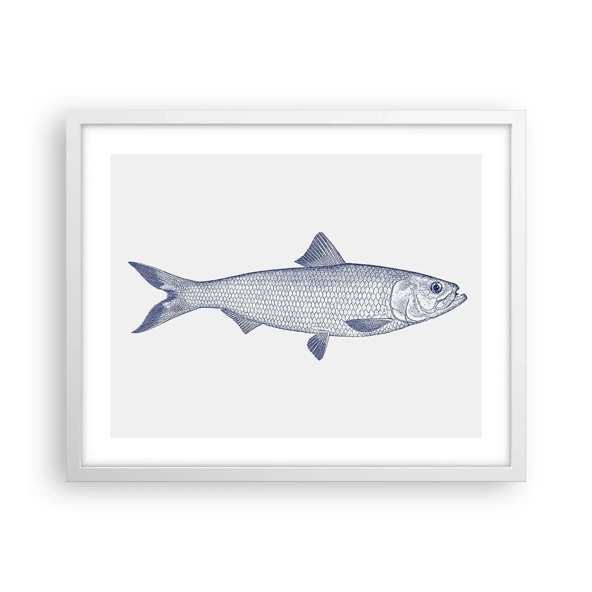 Affisch i vit ram - Hälsningar från de nordliga haven - 50x40 cm