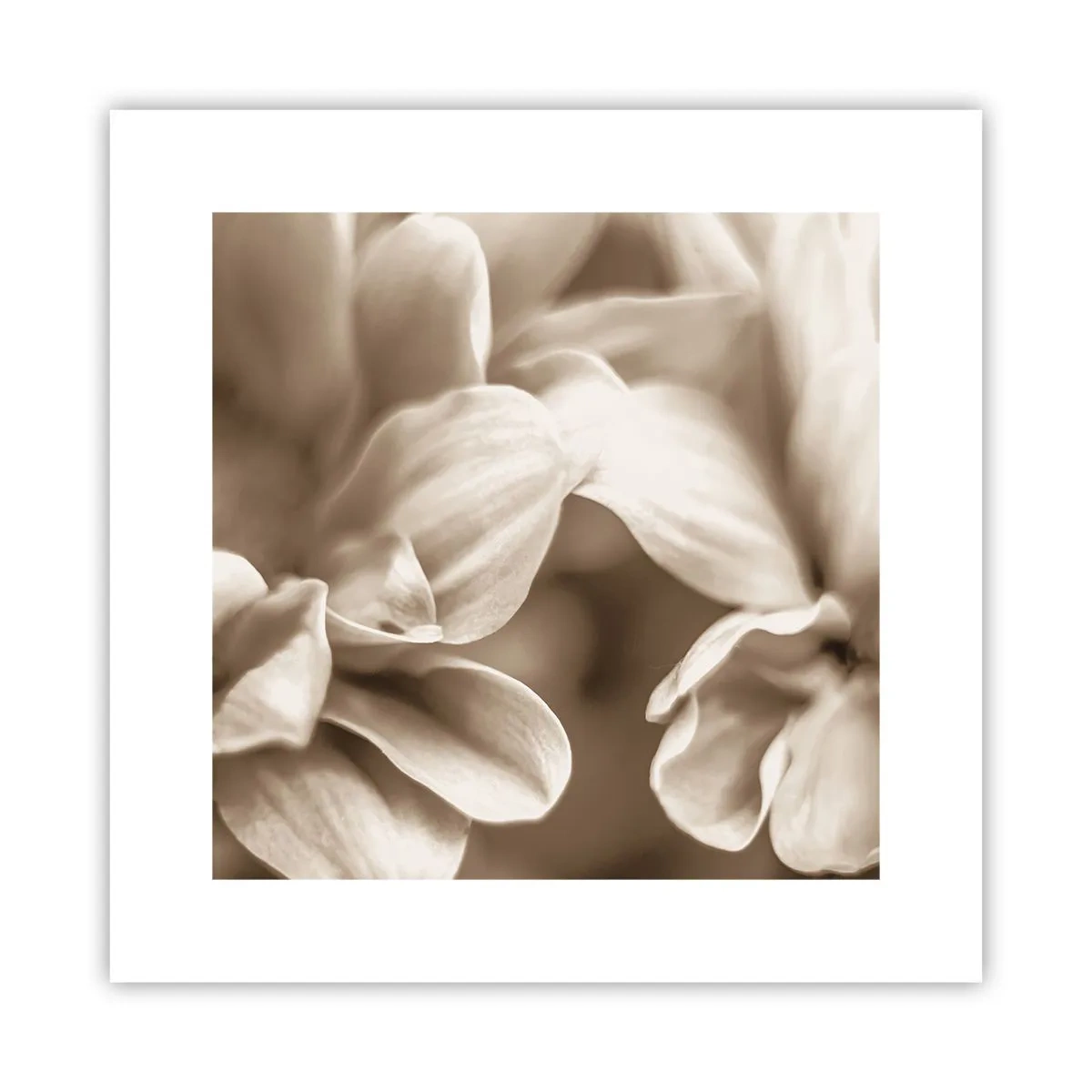 Affisch - Milda som ett leende - 30x30 cm