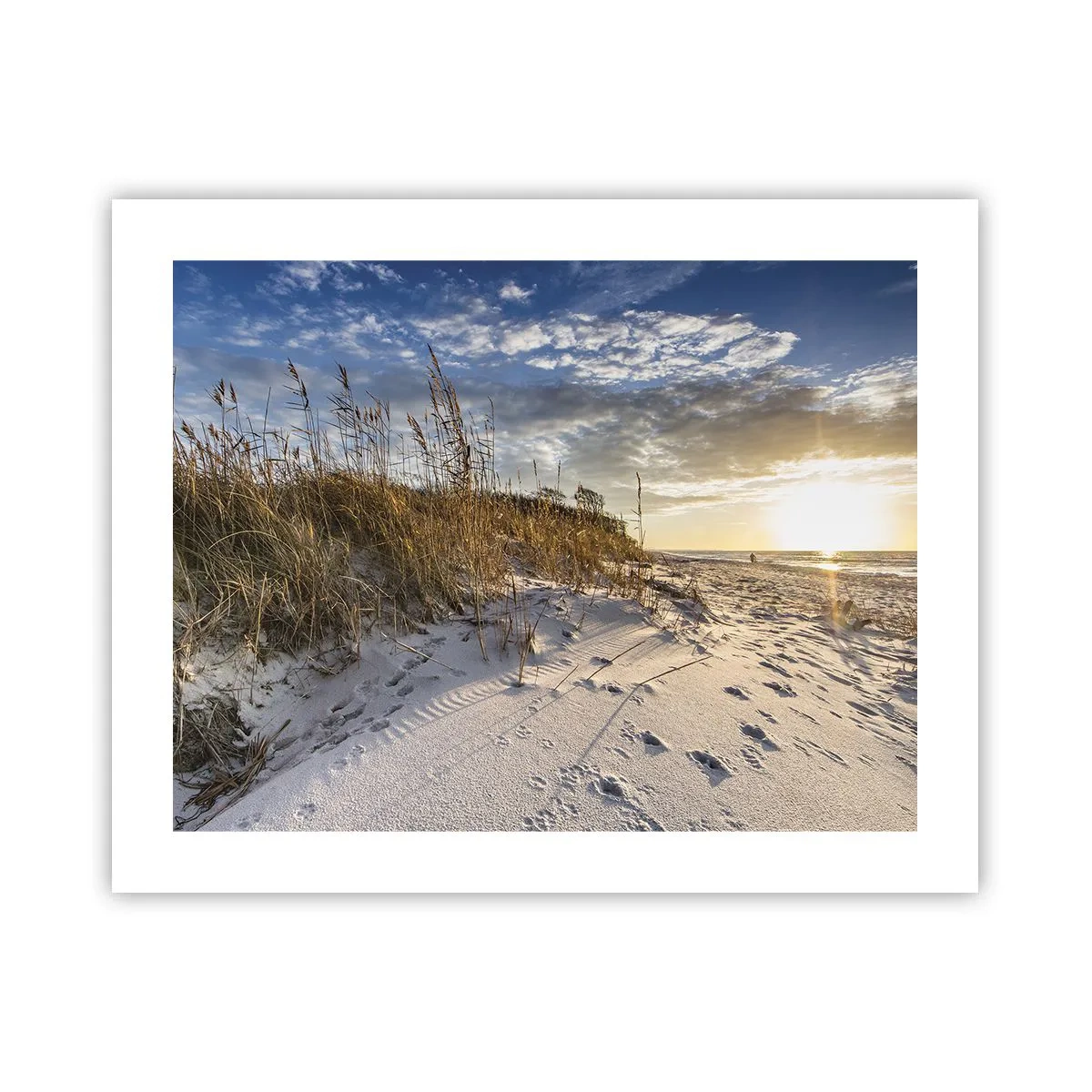 Affisch - Inbjudan till promenad - 50x40 cm