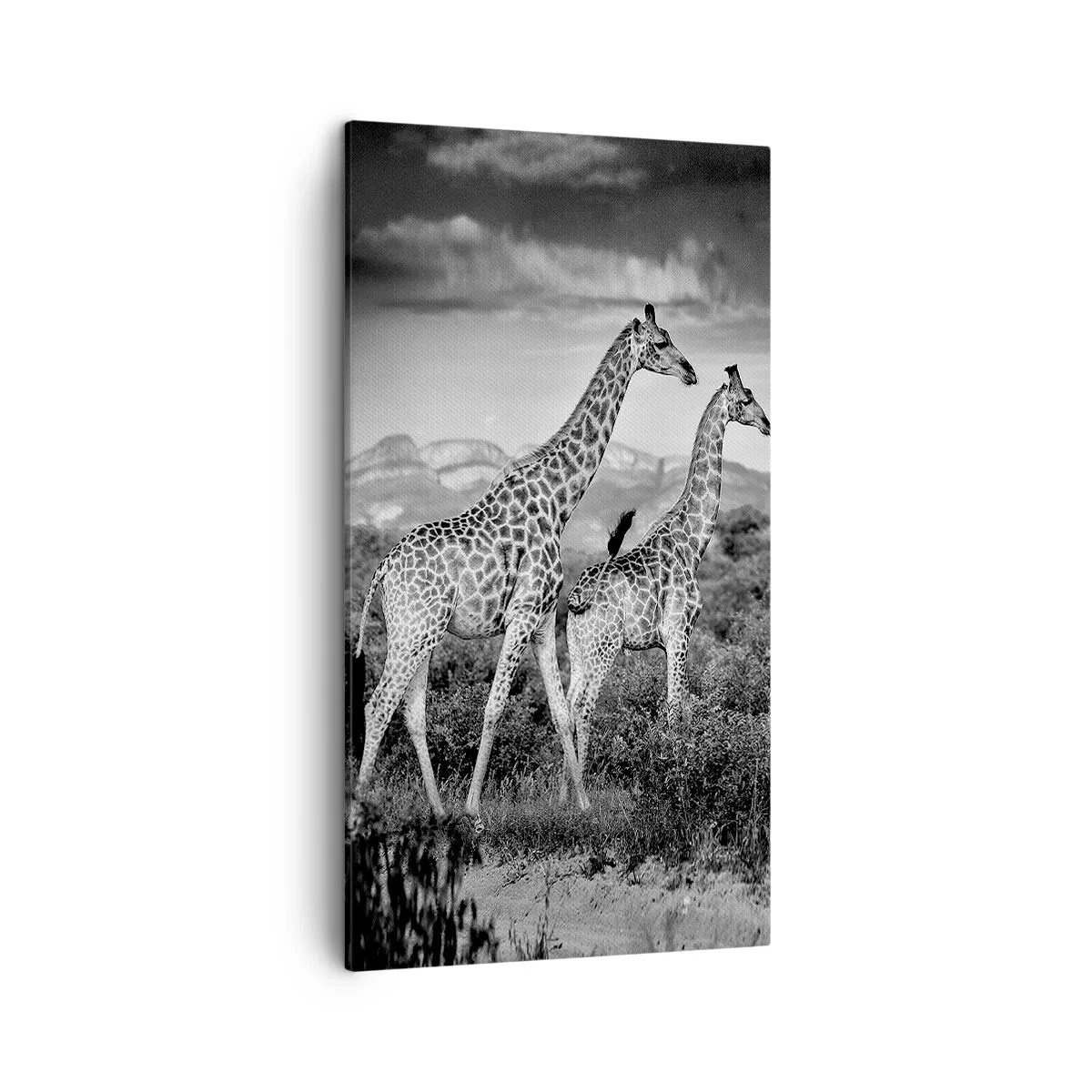 Canvastavla - Bild på duk - Högre klasser i Afrika - 45x80 cm
