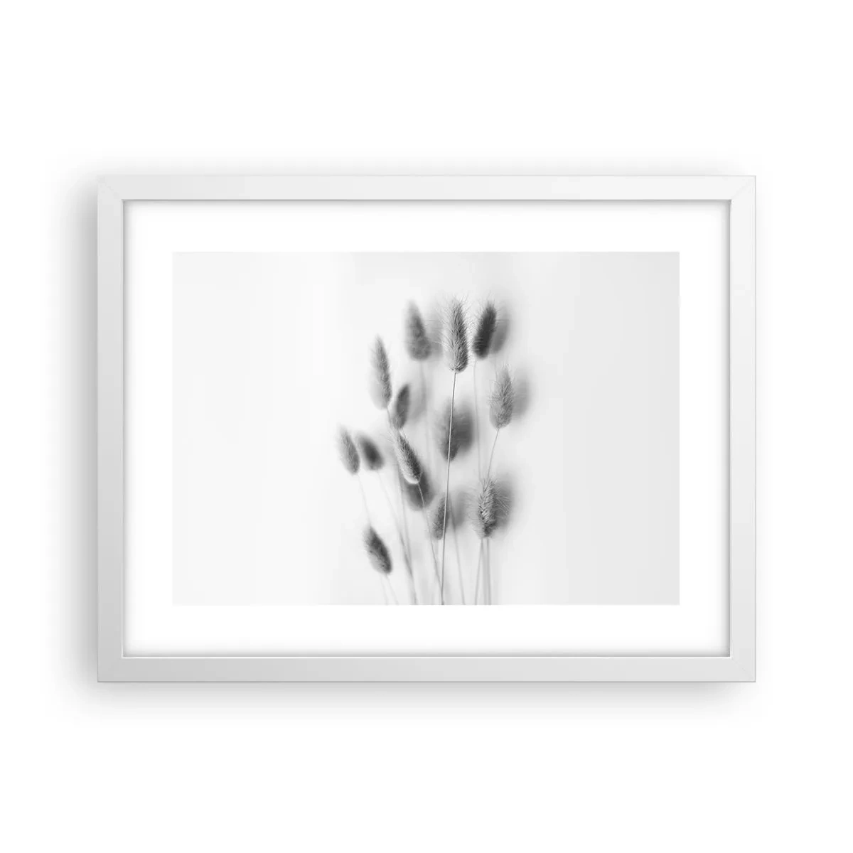 Affisch i vit ram - Fluffigt gräs - 40x30 cm
