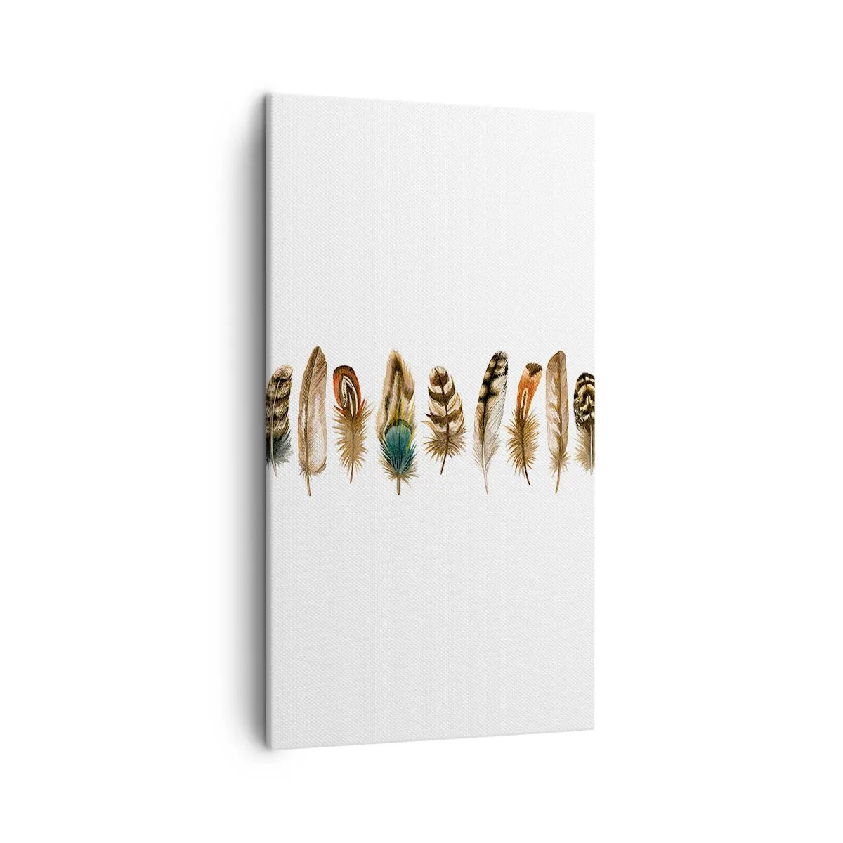 Canvastavla - Bild på duk - Fjädervariation - 45x80 cm