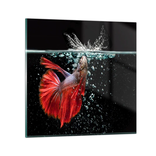 Glastavla - Bild på glas - Du har tre önskemål - 70x70 cm