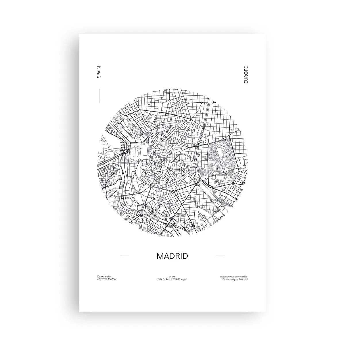 Affisch - Madrids anatomi - 61x91 cm