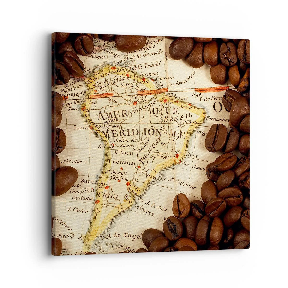 Canvastavla - Bild på duk - Varifrån kommer det bästa kaffet? - 40x40 cm