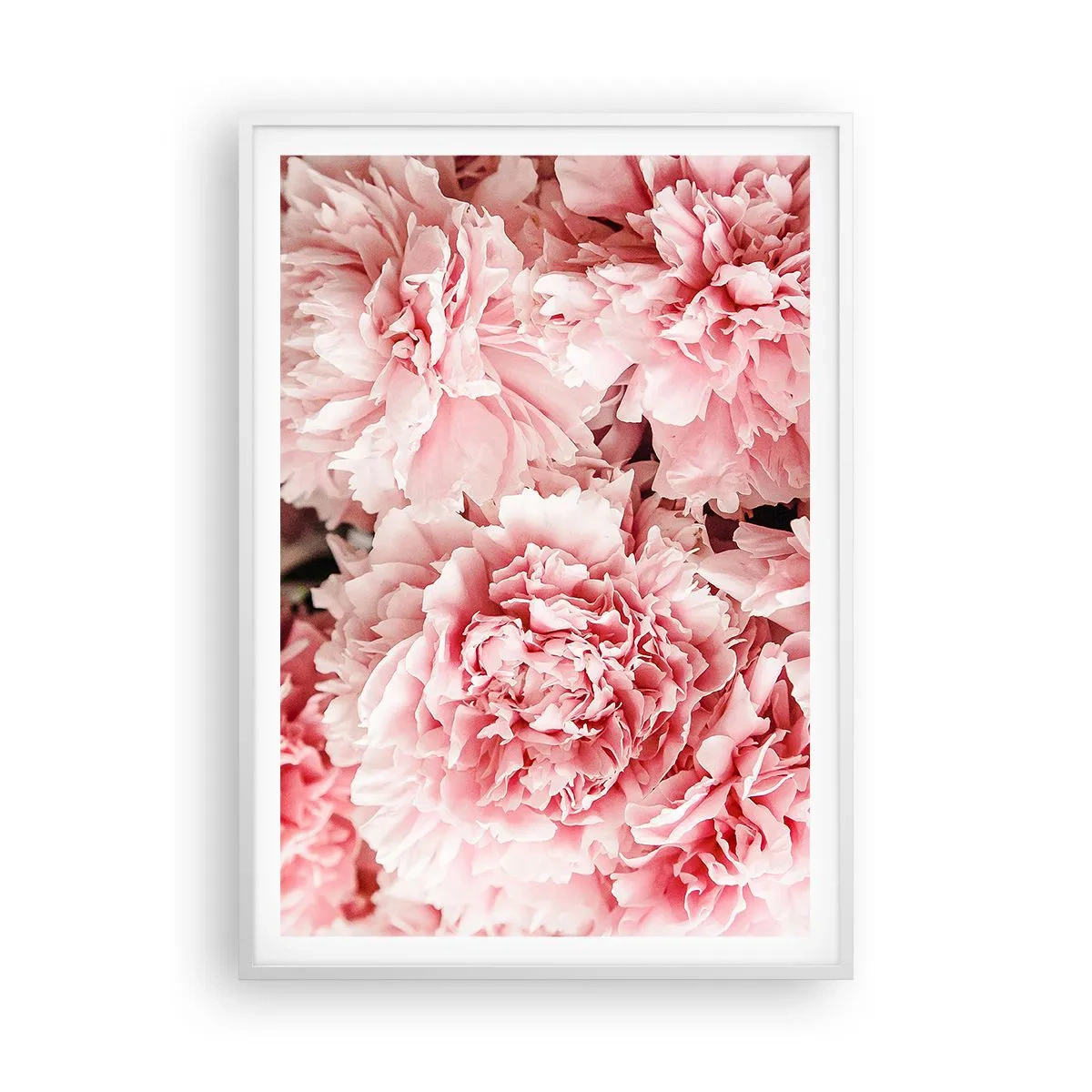 Affisch i vit ram - Rosa dröm - 70x100 cm