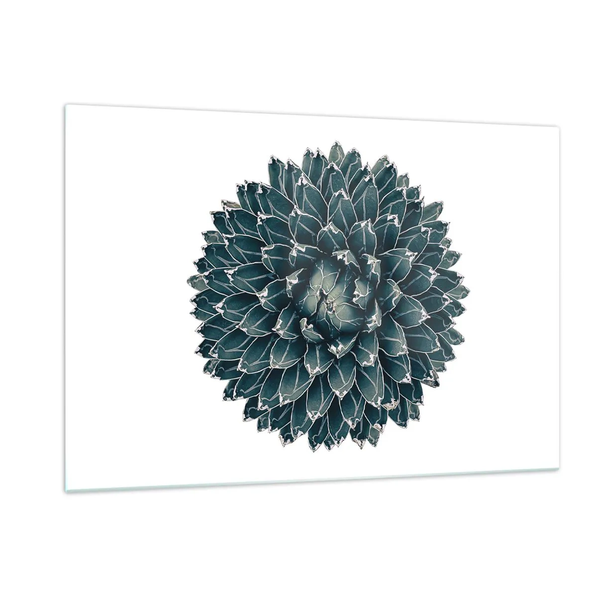 Glastavla - Bild på glas - Öknens stjärna - 120x80 cm