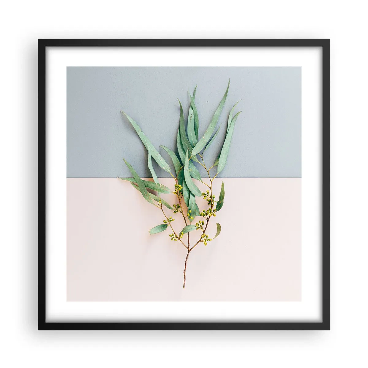 Affisch i svart ram - Pastellens subtilitet - 50x50 cm