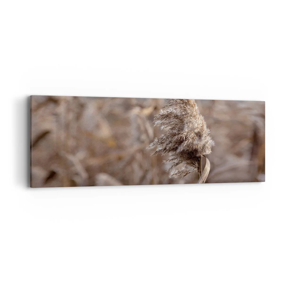 Canvastavla - Bild på duk - Dags att flyga bort med vinden - 90x30 cm