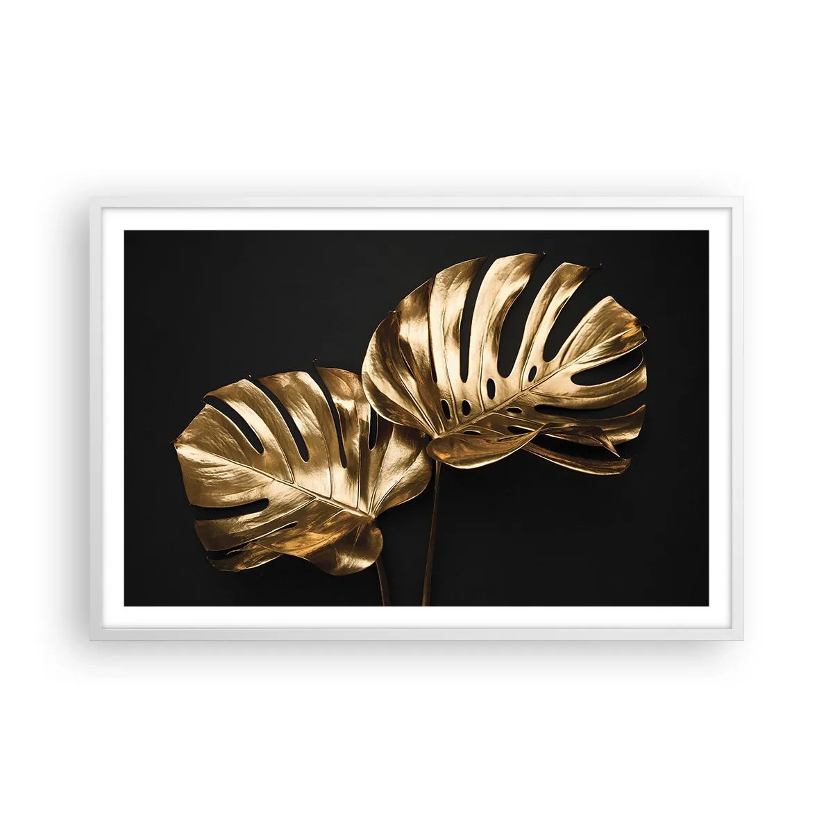 Affisch i vit ram - Naturens skatter - 91x61 cm