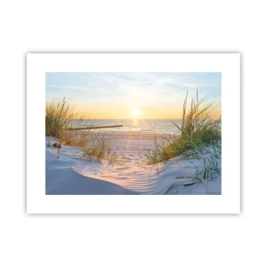 Affisch - Havets brus, fågelsång, tom strand bland träden - 40x30 cm