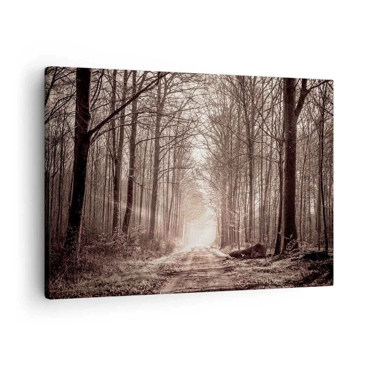Canvastavla - Bild på duk - En skogsstig bland sepiafärgade träd - 70x50cm - Skogens domkyrka - Modern väggdekoration för vardagsrum och sovrum ARTTOR