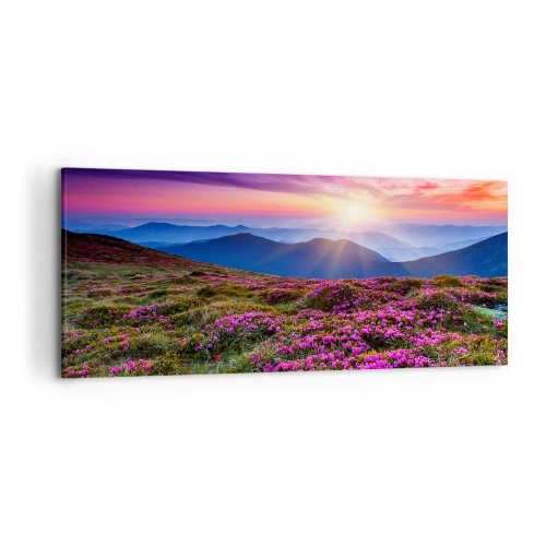 Canvastavla - Bild på duk - Doftande örter - 120x50 cm