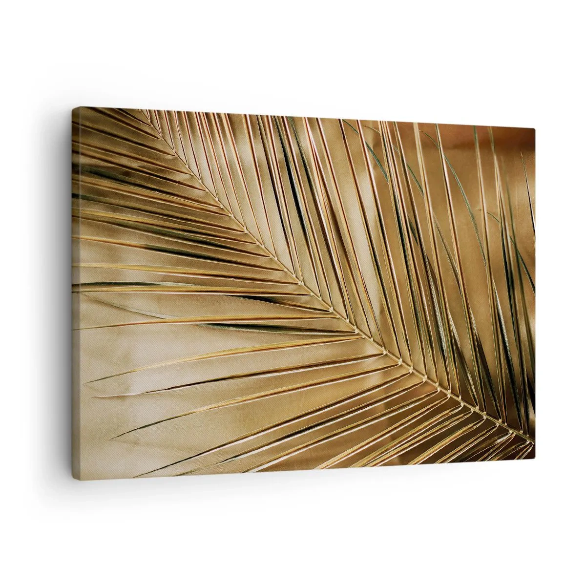 Canvastavla - Bild på duk - Naturlig pelargång - 70x50 cm