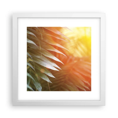 Affisch i vit ram - En morgon i djungeln - 30x30 cm