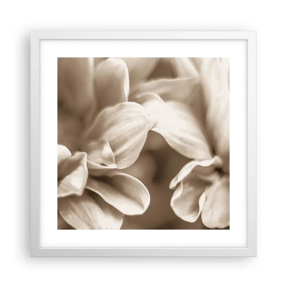 Affisch i vit ram - Milda som ett leende - 40x40 cm