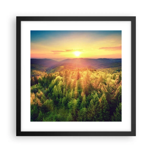 Affisch i svart ram - Trädtoppar och bergstoppar - 40x40 cm