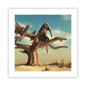 Affisch - Ny synvinkel - 40x40 cm