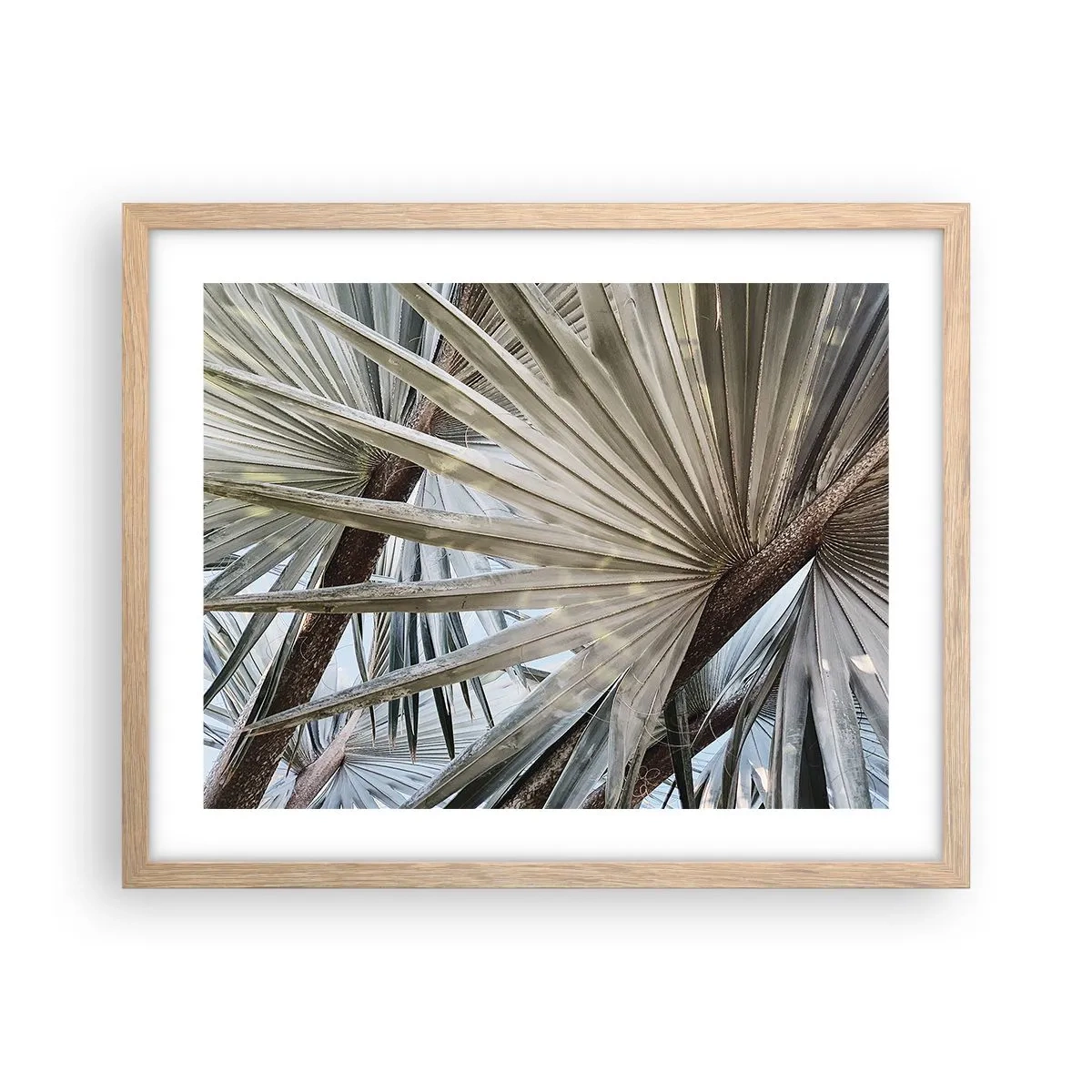 Affisch i ram av ljusek - Solfjädrarna i tropikerna - 50x40 cm