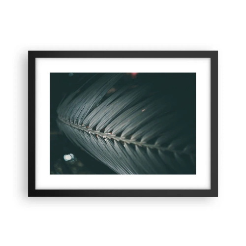 Affisch i svart ram - Naturens precision - 40x30 cm