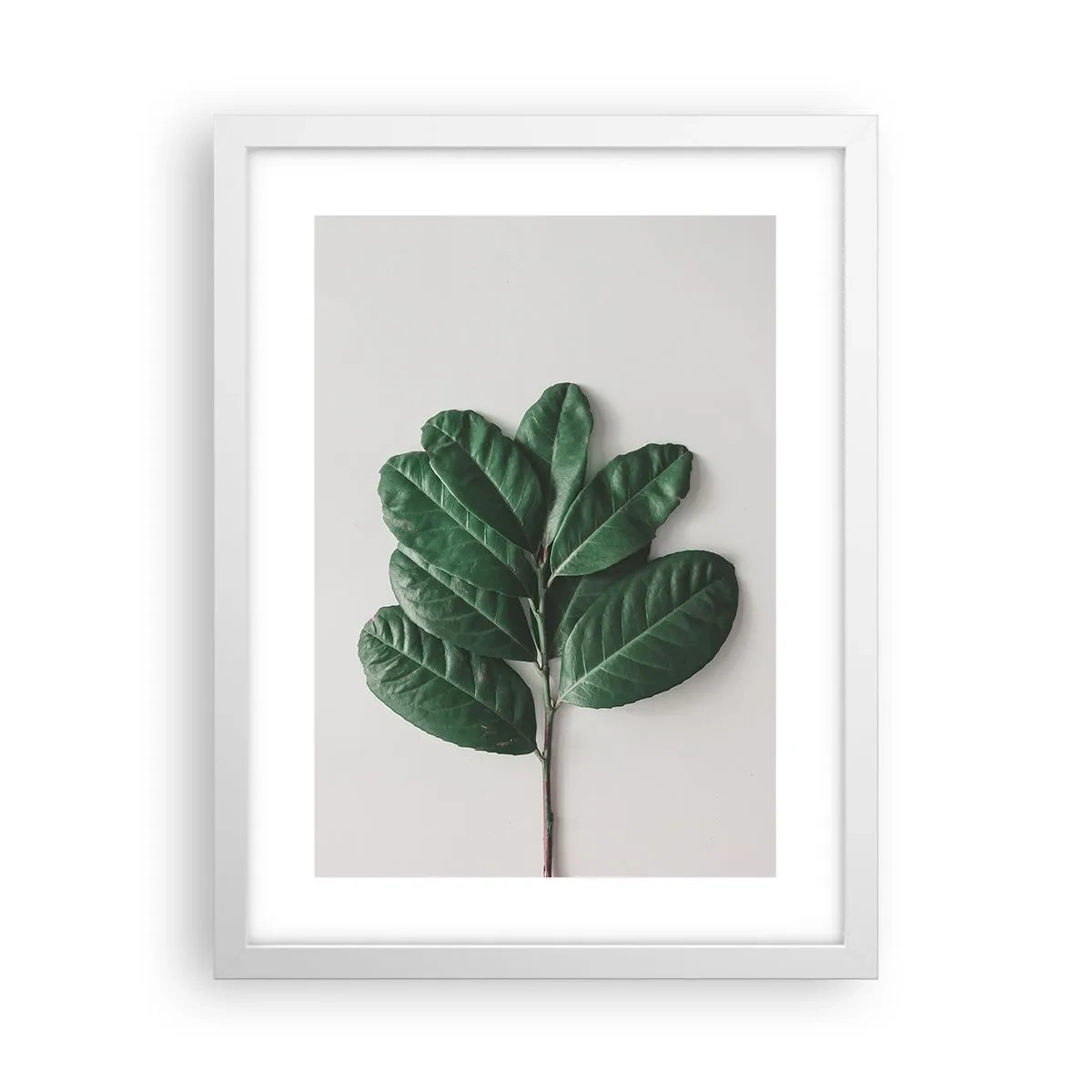 Affisch i vit ram - Själva naturens bild - 30x40 cm