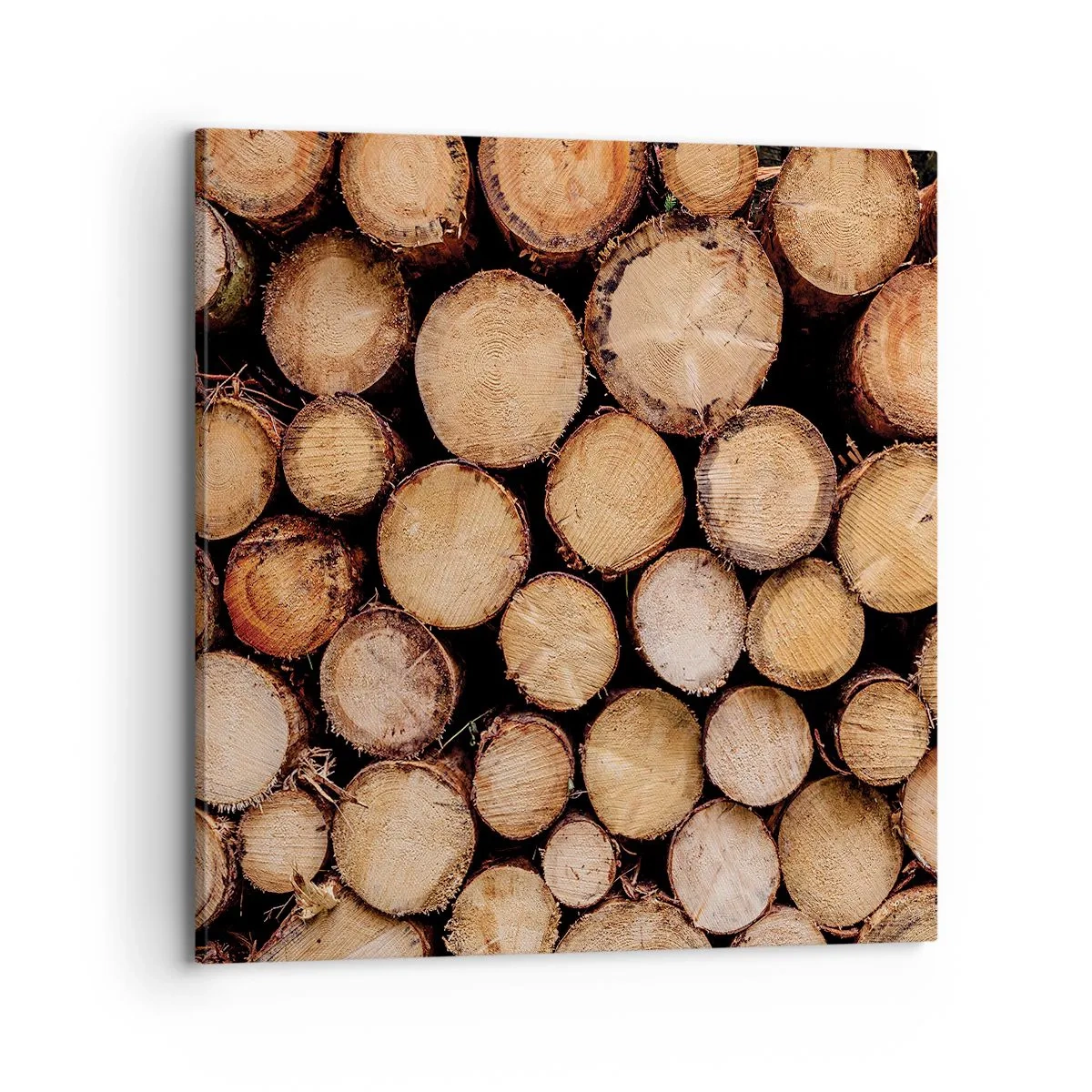 Canvastavla - Bild på duk - Ny början - 70x70 cm