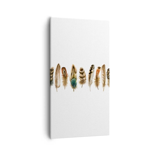 Canvastavla - Bild på duk - Fjädervariation - 55x100 cm