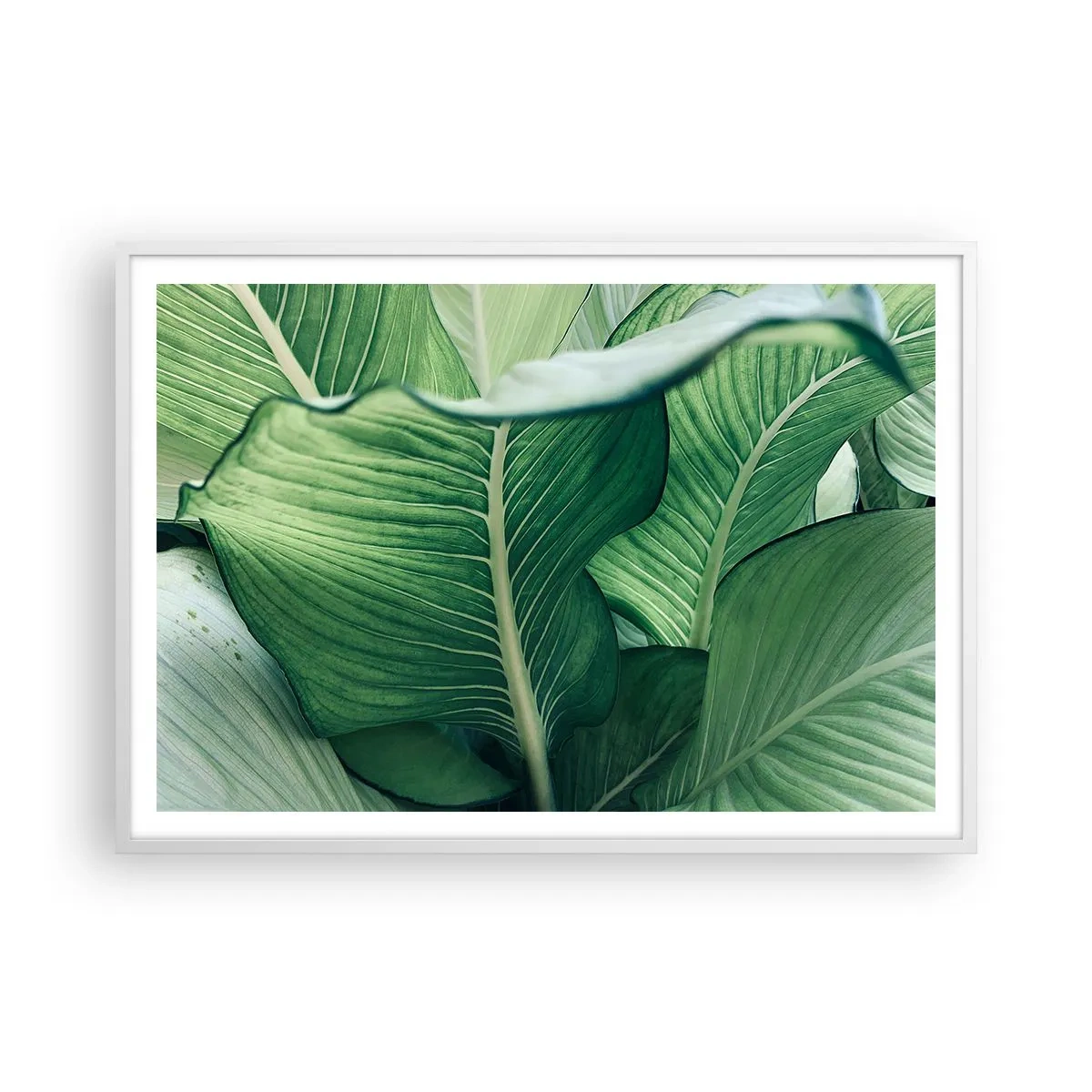 Affisch i vit ram - Livet intensivt grönt - 100x70 cm