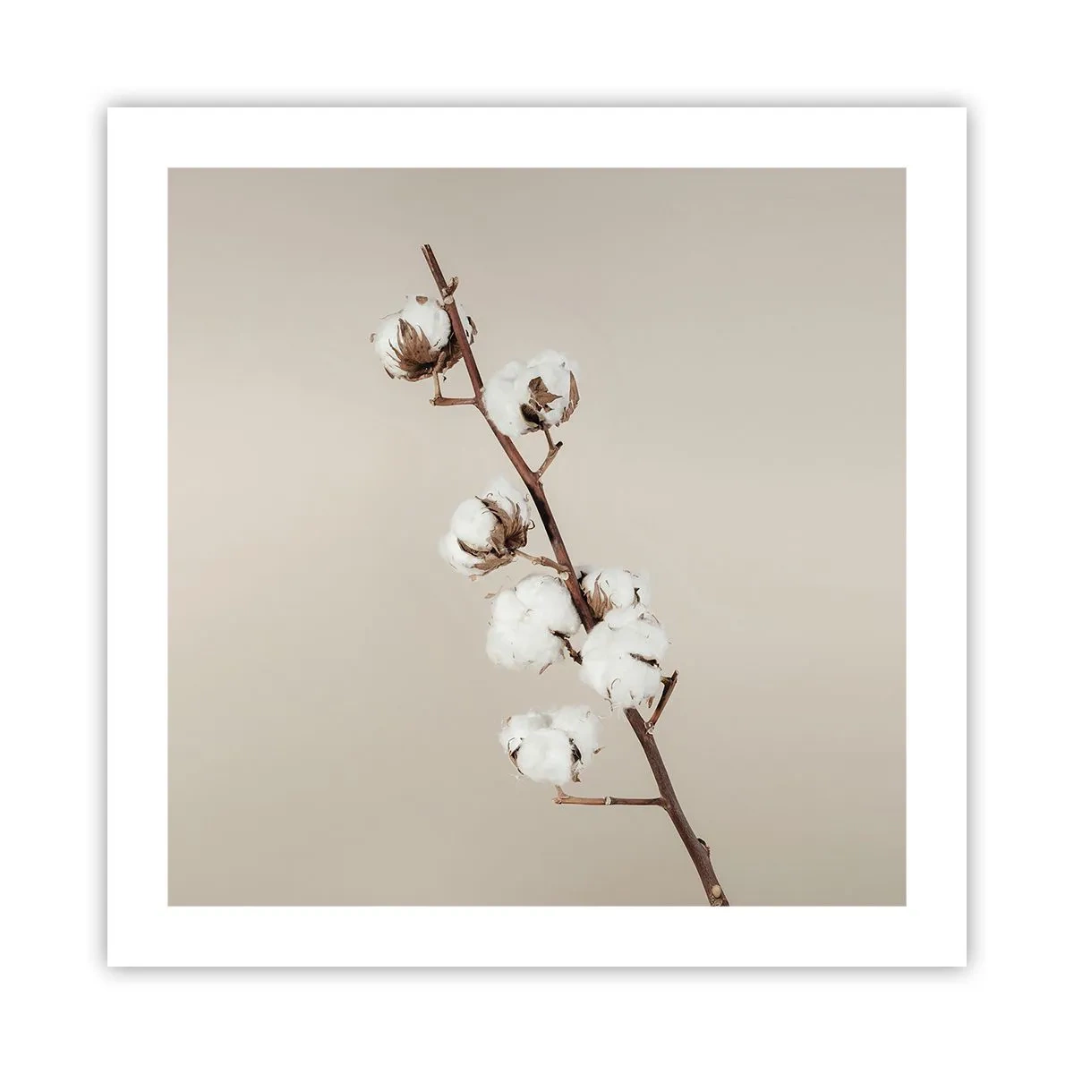 Affisch - Hos mjukhetens källa - 50x50 cm