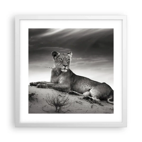 Affisch i vit ram - Öknens drottnings vila - 40x40 cm